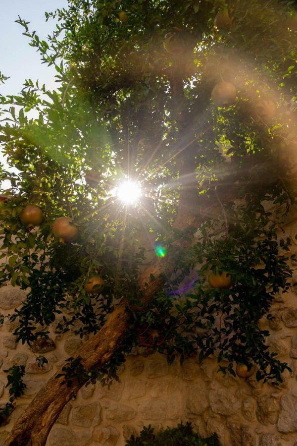 Yesil Ev Cafe & Boutique Hotel HATAY Kültér fotó